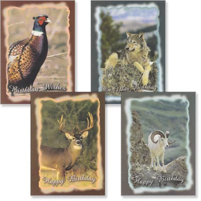 Birthday Cards - Graceful Wildlife - Set of 4